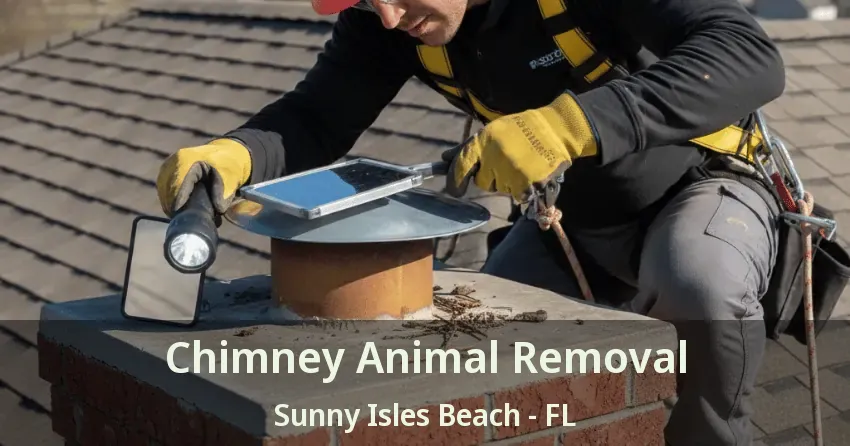 Chimney Animal Removal Sunny Isles Beach - FL